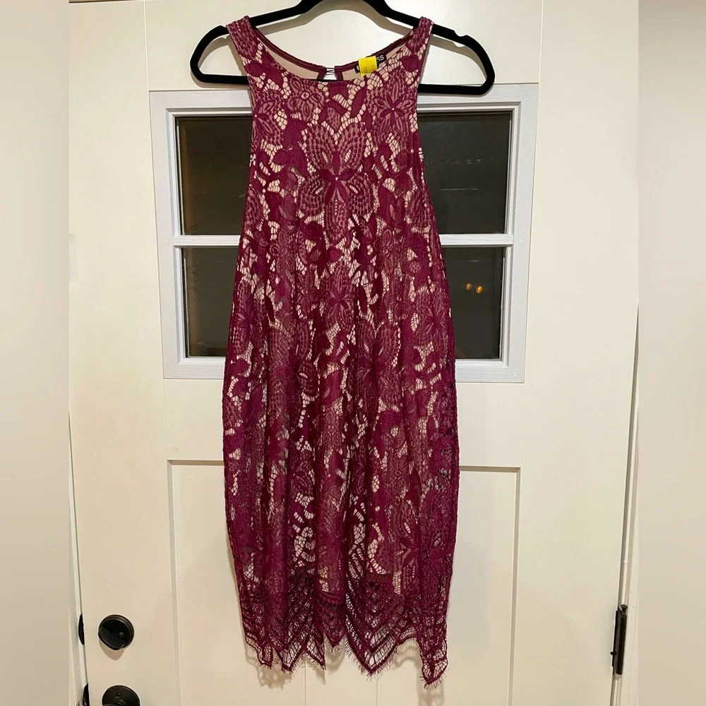 Express Plum Lace Mini Dress